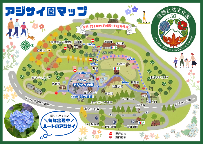アジサイ園マップ