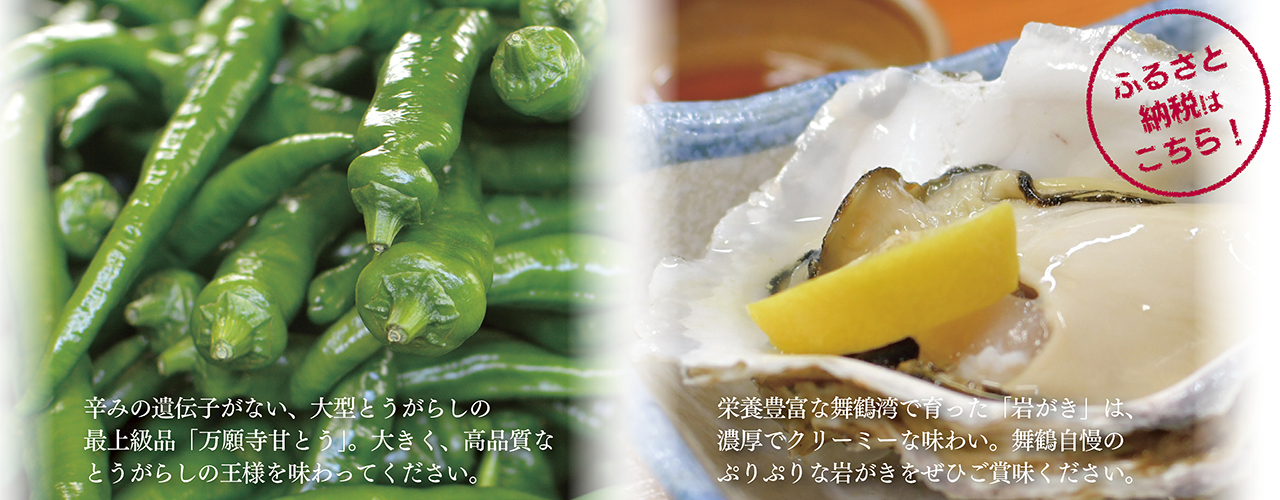 ふるさと納税