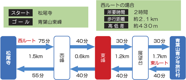 コース情報