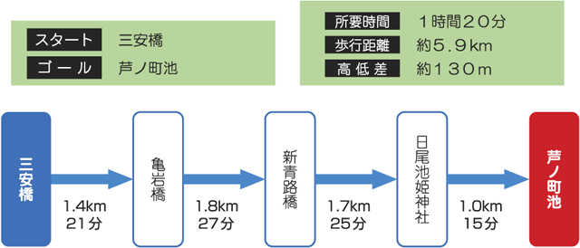 コース情報