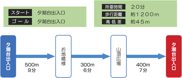 コース情報