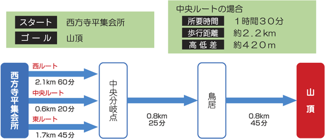 コース情報