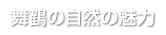 舞鶴の自然の魅力