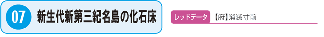 07.新生代第三紀名島の化石床