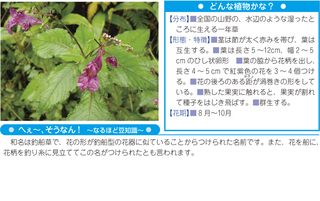 写真・解説