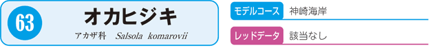 63.オカヒジキ