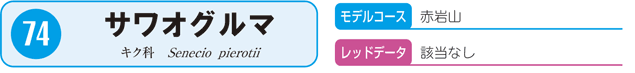 74.サワオグルマ