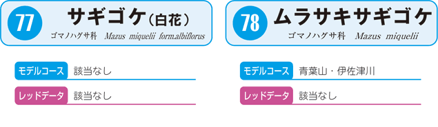 77.サギゴケ、78.ムラサキサギゴケ