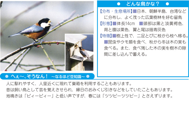 写真・解説