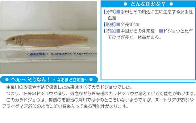 写真・解説