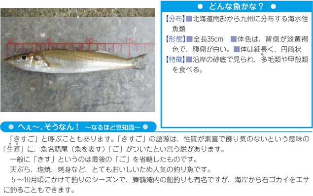 写真・解説