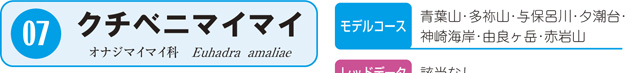 07.クチベニマイマイ
