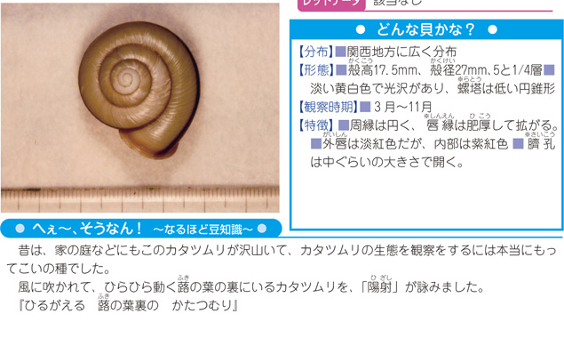 写真・解説