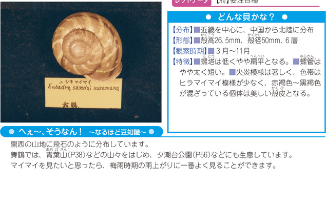 写真・解説