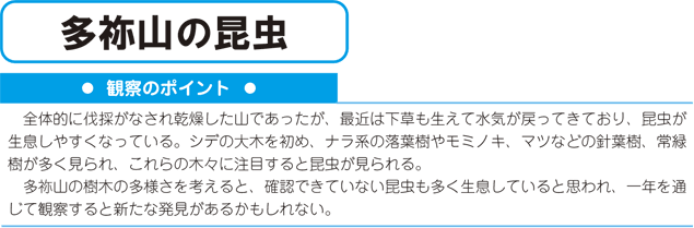 多祢山の昆虫