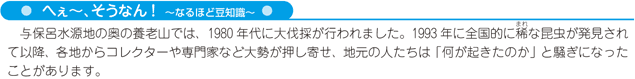 写真・解説