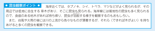 海岸の昆虫