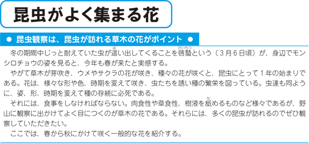 昆虫がよく集まる花