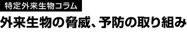 【特定外来生物コラム】外来生物の脅威、予防の取り組み