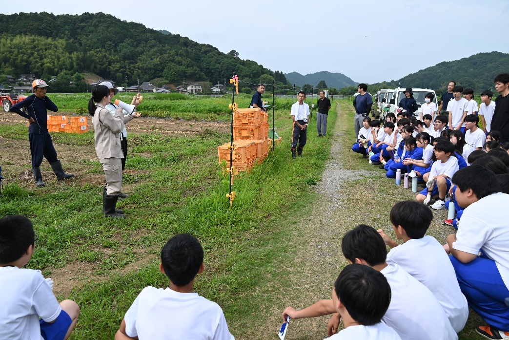 収穫説明