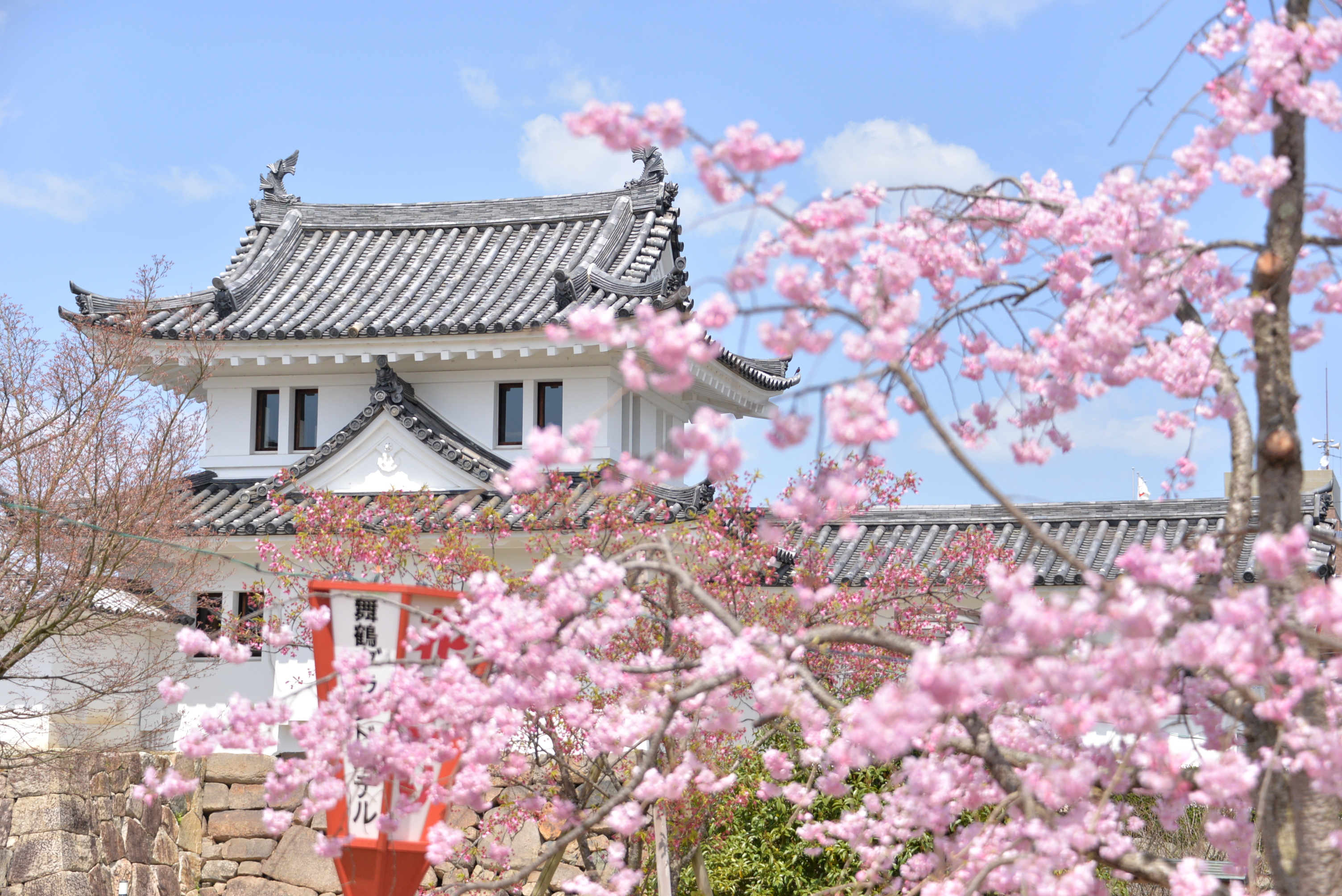 田辺城と桜