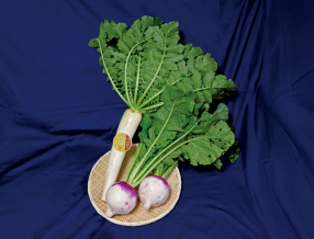 広報アンケート　応募はこちら